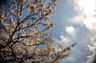 DSC_1097Kofu