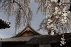 DSC_1284Inuyama