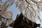 DSC_1287Inuyama