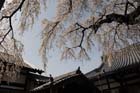 DSC_1290Inuyama