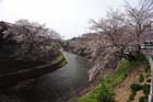 DSC_1295Inuyama