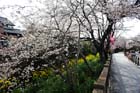 DSC_1300Inuyama