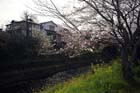DSC_1305Inuyama