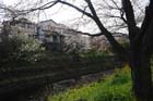 DSC_1306Inuyama
