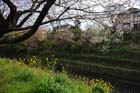 DSC_1308Inuyama