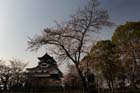 DSC_1326Inuyama