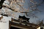 DSC_1337Inuyama