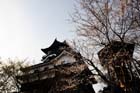 DSC_1339Inuyama