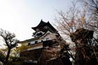 DSC_1340Inuyama