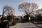 DSC_1344Inuyama