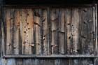 DSC_1942Shirakawa-go