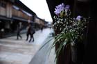 DSC_2324Kanazawa