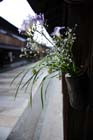 DSC_2328Kanazawa