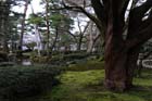 DSC_2449Kanazawa