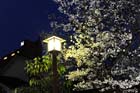 DSC_2508Kanazawa