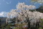 DSC_2537Minobu