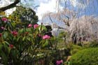 DSC_2543Minobu