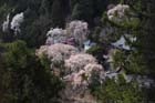 DSC_2760Minobu