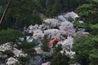 DSC_2762Minobu