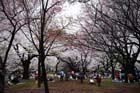 DSC_3186aTokyo