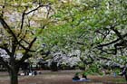 DSC_3200Tokyo