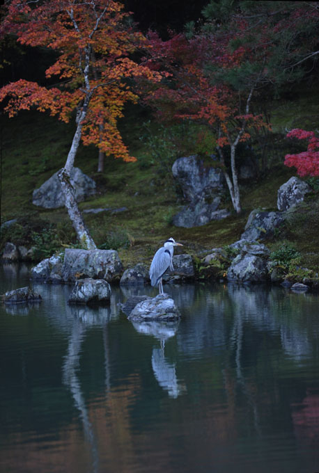 DSC_0123_Kyoto_Tenryuji