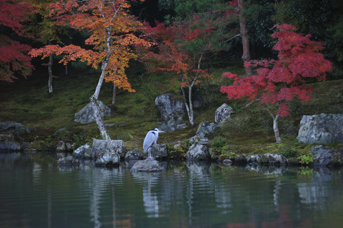 DSC_0133_Kyoto_Tenryuji