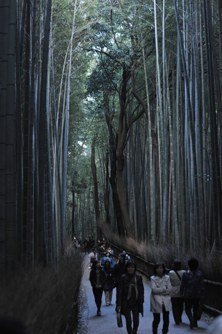 DSC_0139_Kyoto_Arashiyama