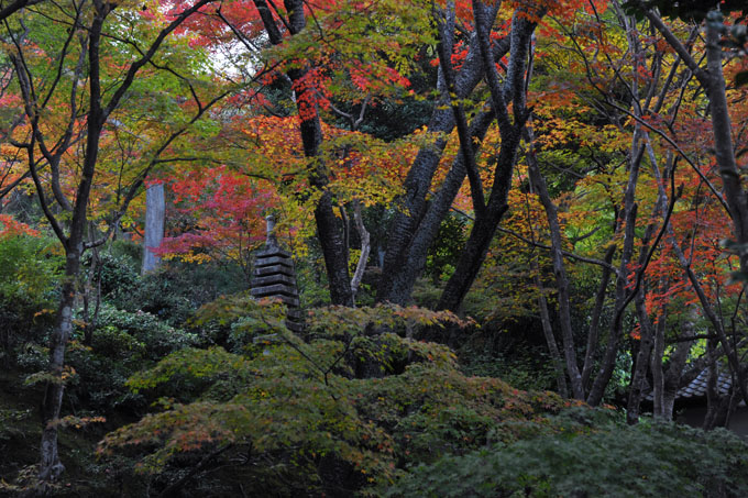 DSC_0156_Kyoto_Jojakkoji
