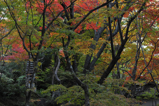 DSC_0159_Kyoto_Jojakkoji