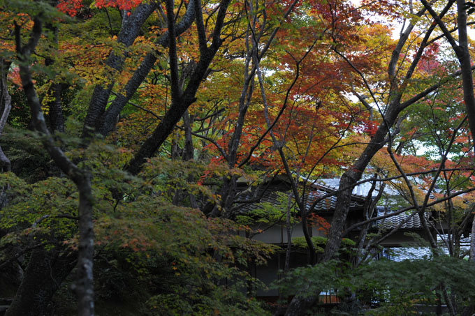 DSC_0160_Kyoto_Jojakkoji