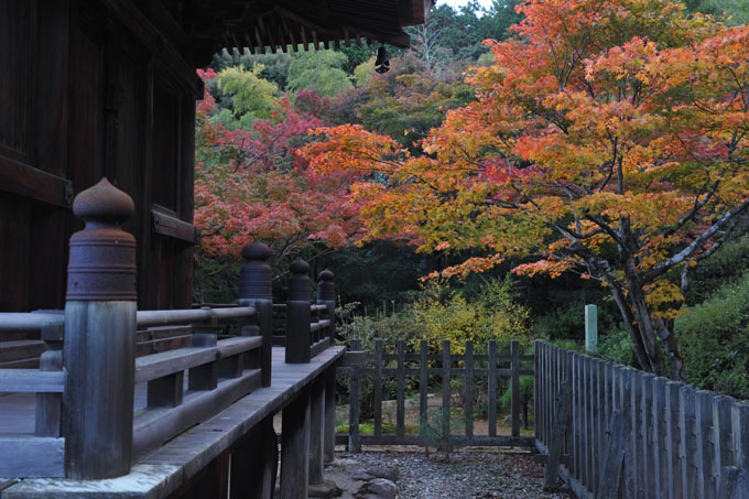 DSC_0168_Kyoto_Jojakkoji