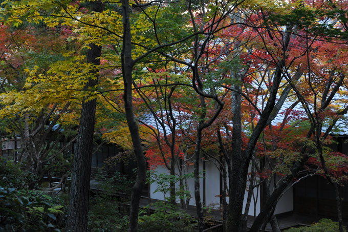 DSC_0180_Kyoto_Jojakkoji