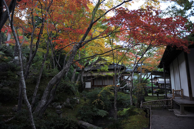 DSC_0193_Kyoto_Jojakkoji
