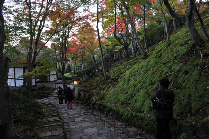 DSC_0223_Kyoto_Jojakkoji
