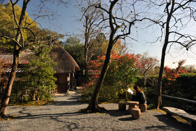 DSC_0350_Kyoto_Arashiyama
