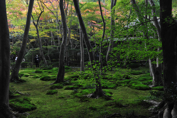 DSC_0465_Kyoto_Gioji