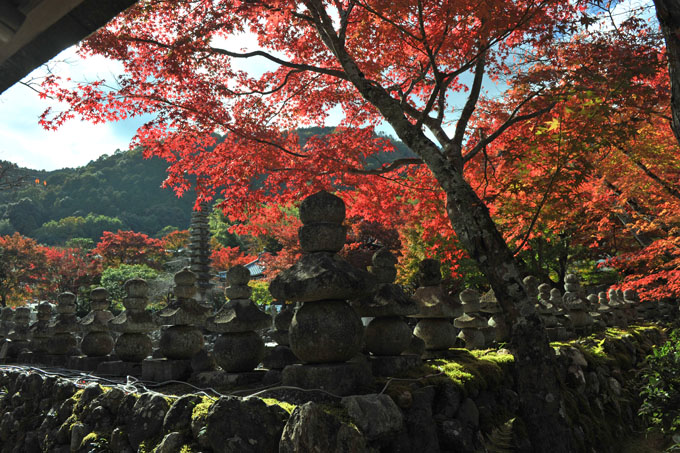 DSC_0490_Kyoto_Nenbutsu-ji