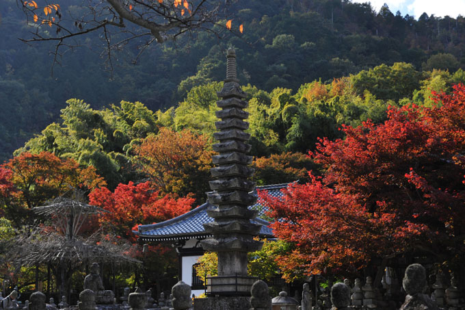 DSC_0493_Kyoto_Nenbutsu-ji