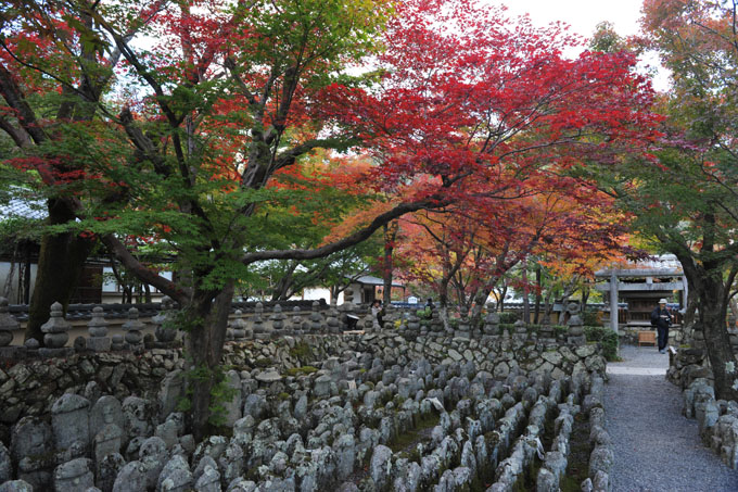 DSC_0540_Kyoto_Nenbutsu-ji