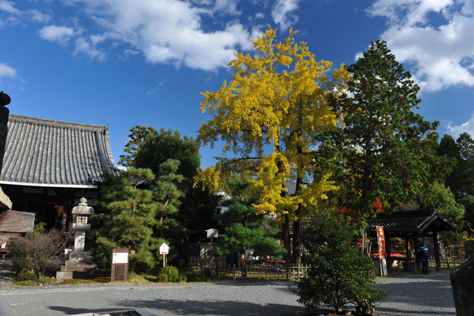 DSC_0572_Kyoto_Hokyo-in