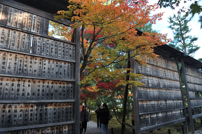 DSC_0578_Kyoto_Seiryo-ji