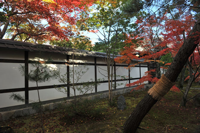 DSC_0598_Kyoto_Seiryo-ji