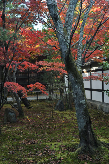 DSC_0603_Kyoto_Seiryo-ji