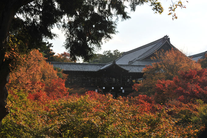 DSC_0640_Kyoto_Tofukuji
