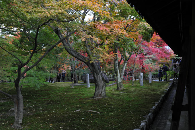 DSC_0648_Kyoto_Tofukuji