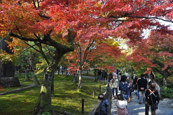 DSC_0661_Kyoto_Tofukuji