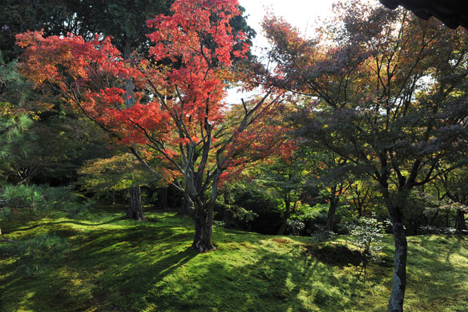 DSC_0680_Kyoto_Tofukuji