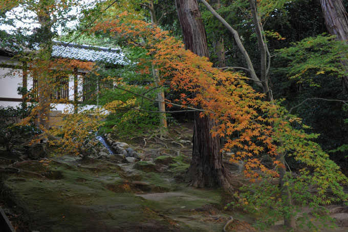 DSC_0689_Kyoto_Tofukuji