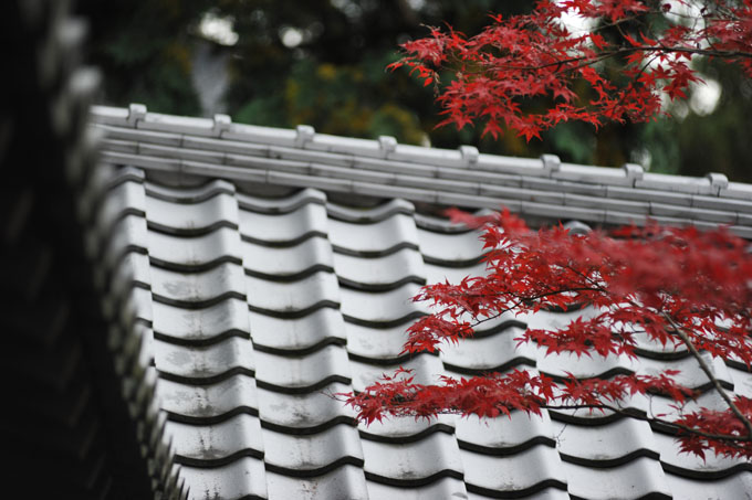 DSC_0722_Kyoto_Tofukuji